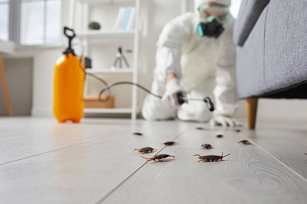 Commercial Kitchen Cockroach Control in New Berlin