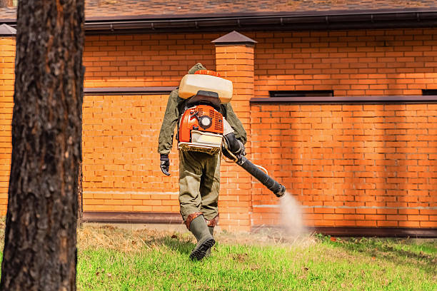 Cockroach Follow-Up and Monitoring in New Berlin